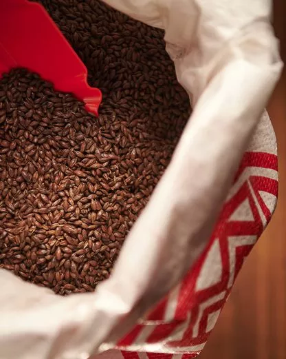 10LB CARAFA SPECIAL TYPE 1 Weyermann Debittered Dark German Specialty Malt – Uncrushed MWEY7065