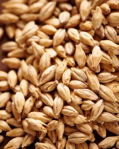 10LB Weyermann CARAFOAM German Malt – A specialty malt from Weyermann that adds body foam retention and beer stability